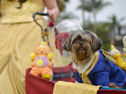 Haute Dog Howl'oween Parade