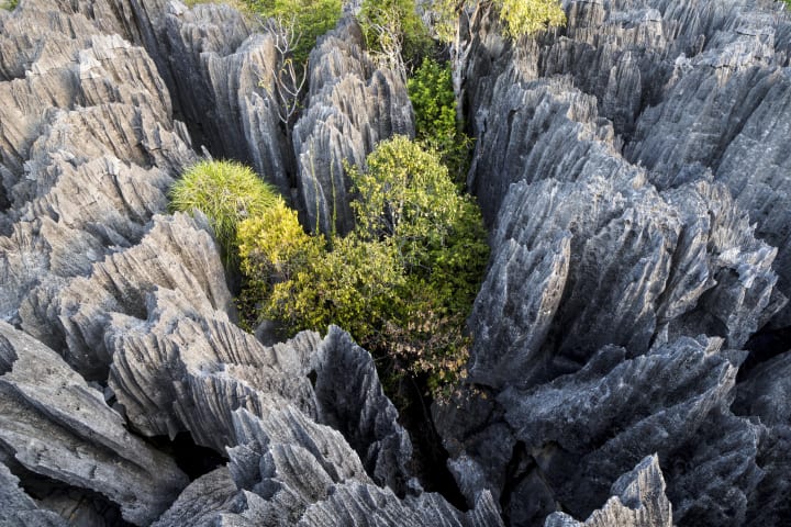 Limestone formations in Madagascar’s Tsingy de Bemaraha National Park