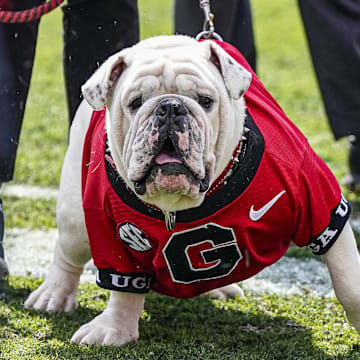 Apr 15, 2023; Athens, GA, USA; The Georgia Bulldogs new mascot uga XI on the field for the first time during the Georgia Spring Game at Sanford Stadium. Mandatory Credit: Dale Zanine-Imagn Images