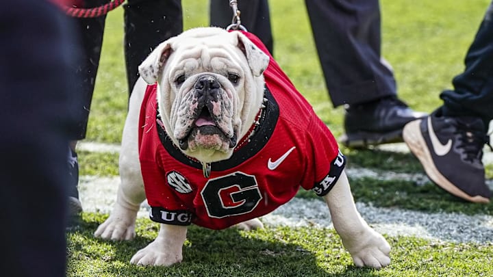 Apr 15, 2023; Athens, GA, USA; The Georgia Bulldogs new mascot uga XI on the field for the first time during the Georgia Spring Game at Sanford Stadium. Mandatory Credit: Dale Zanine-Imagn Images