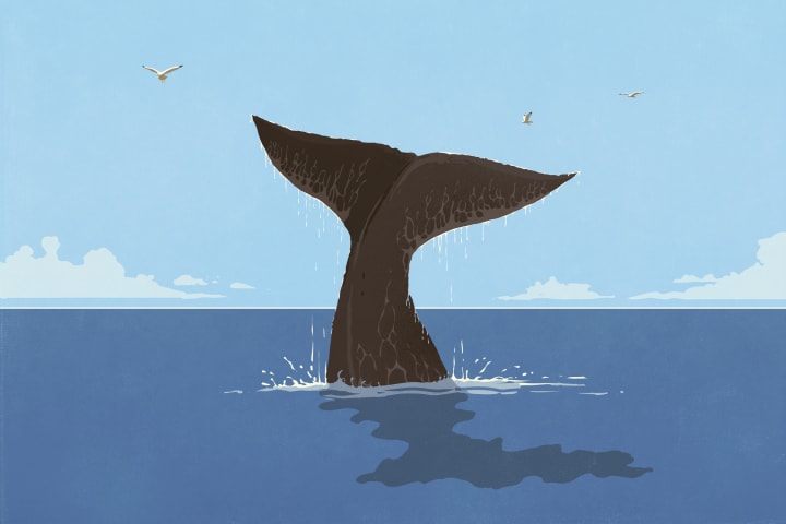 Illustration of a whale's tail above the water