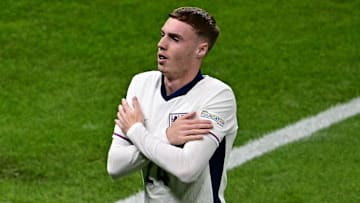 Palmer could play a key role for England