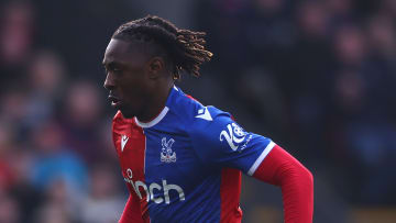 Crystal Palace v Luton Town - Premier League