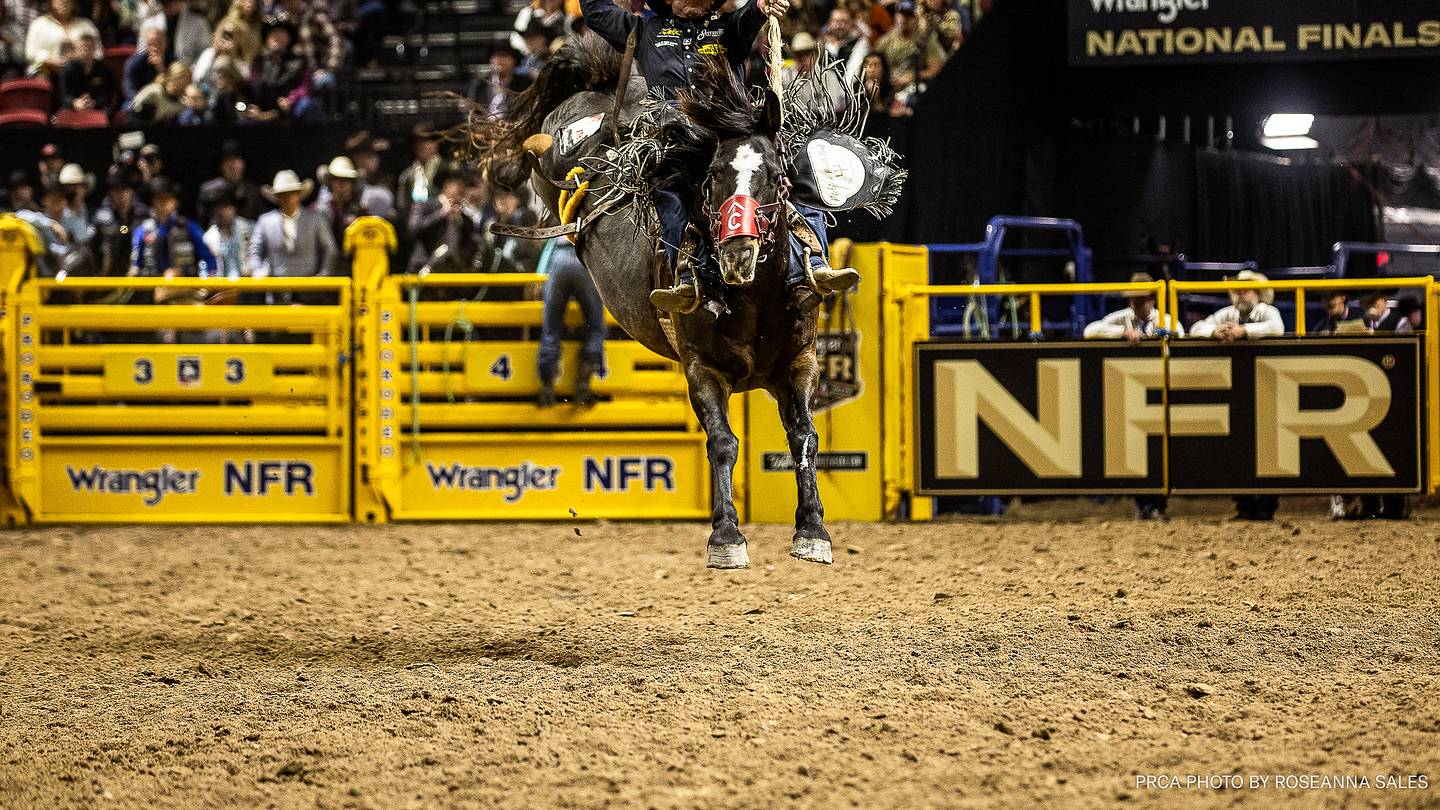 Nfr Bronc Riders PRCA Saddle Bronc Riding Standings, Feb. 29: Statler