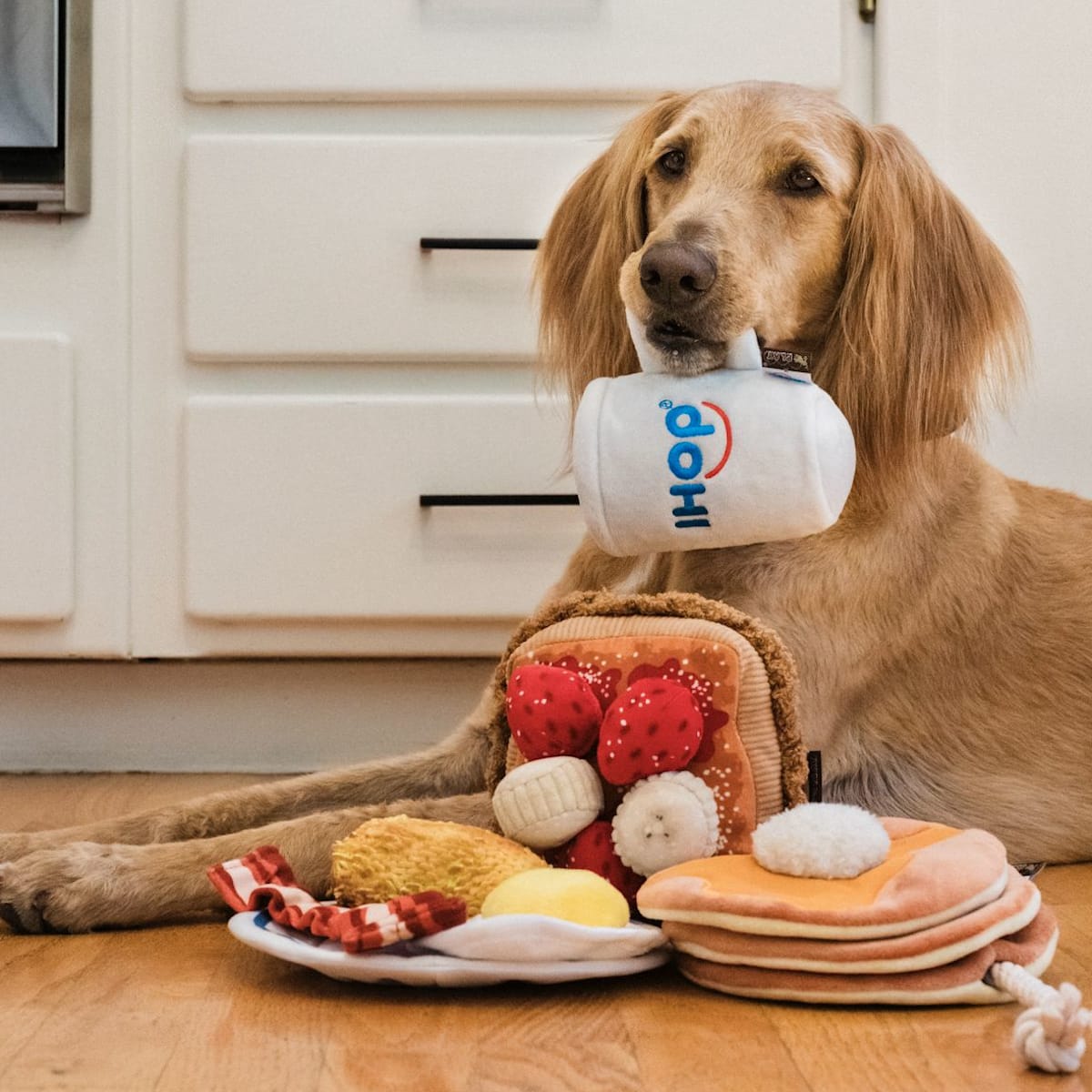 Pancake dog toy outlet