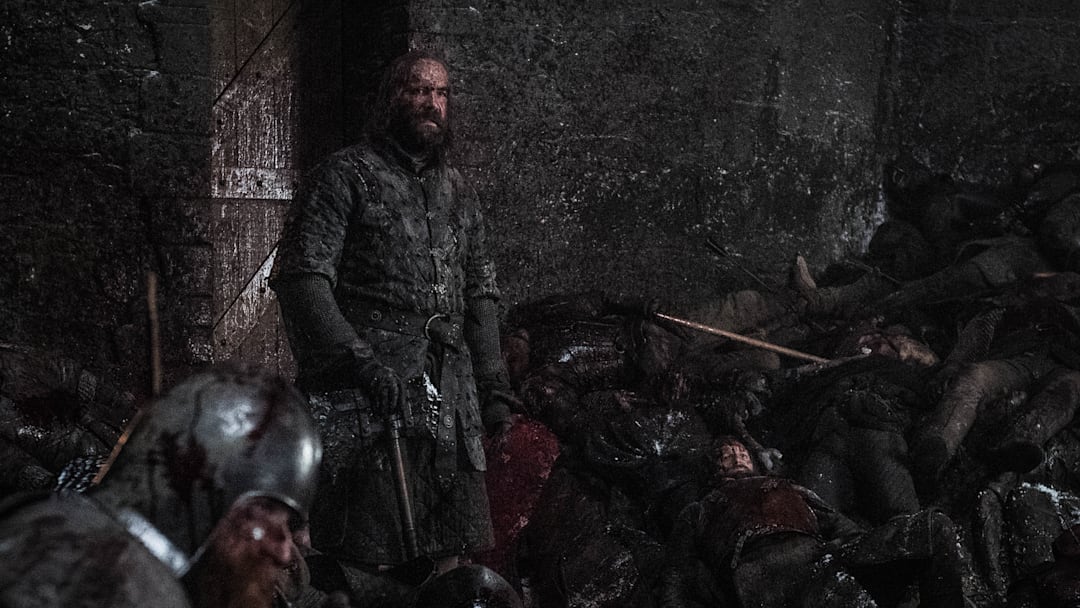 Rory McCann as Sandor “The Hound” Clegane - Photo: Helen Sloan/HBO