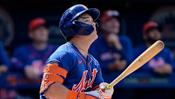 Washington Nationals v New York Mets