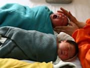 Golden Pig Year Sparks Baby-Boom In China