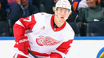 Detroit Red Wings v New York Islanders