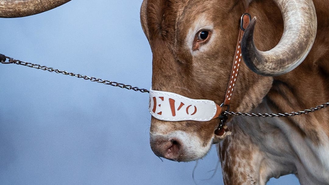 Nov 23, 2024; Austin, Texas, USA; Texas Longhorns mascot Bevo XV takes the field before a game against the Kentucky Wildcats at Darrell K Royal Texas Memorial Stadium.