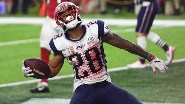 Feb 5, 2017; Houston, TX, USA; New England Patriots running back James White (28) celebrates a touchdown during the fourth quarter against the Atlanta Falcons during Super Bowl LI at NRG Stadium. Mandatory Credit: Bob Donnan-USA TODAY Sports