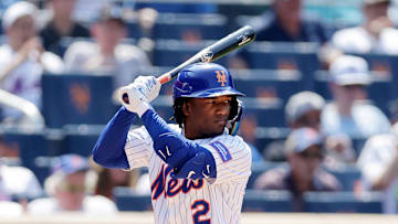 Washington Nationals v New York Mets