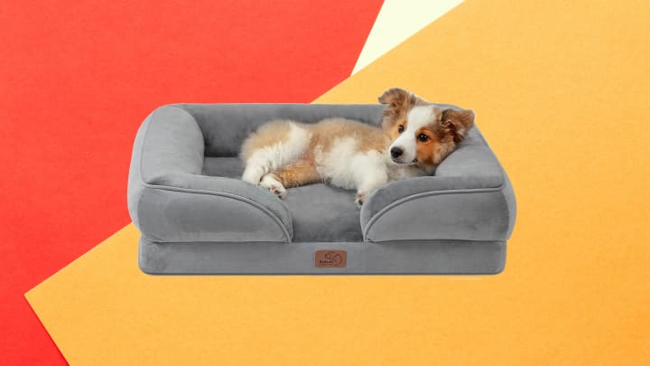 Best Prime Day pet deals: Bedsure Orthopedic Dog Bed for Medium Dogs for $34 (Save $5)
