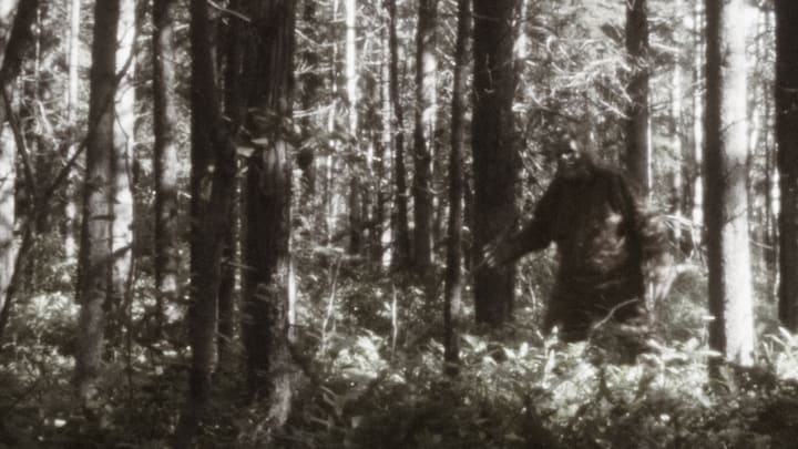 Vintage-looking photo of Bigfoot in the woods