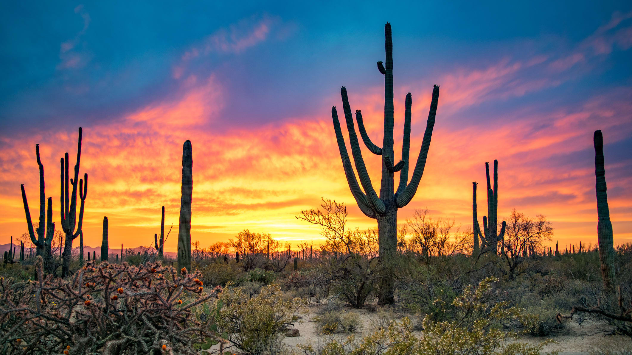 Why Are Desert Sunsets So Colorful?, image size:2121x1193