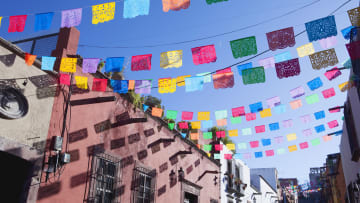 It's a real fiesta of colors. 