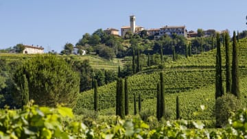 Ruttars' Vineyards in north-eastern Italy.