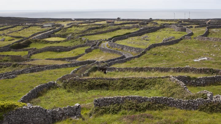 Ireland is looking to increase its head count on some remote islands.