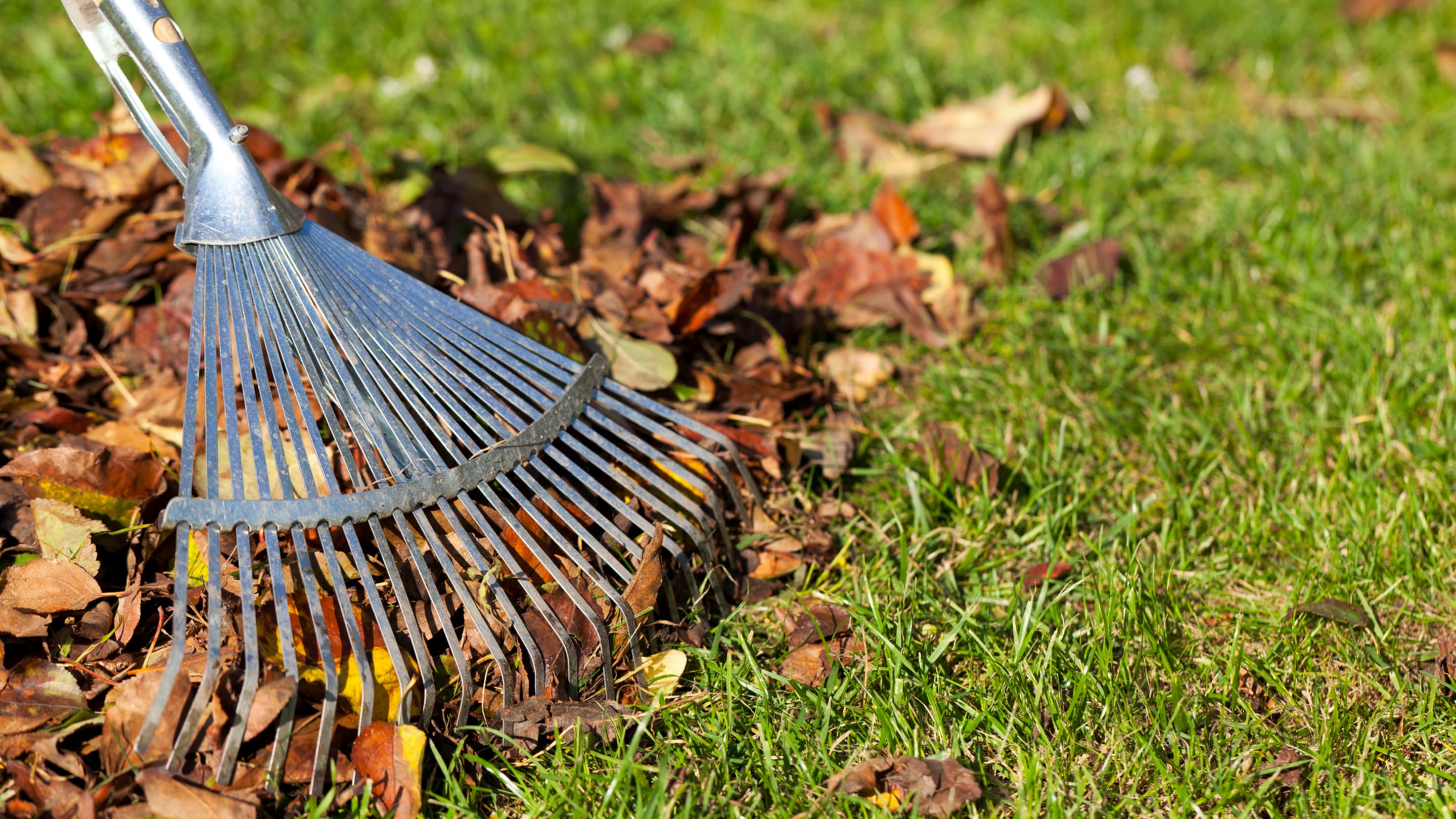 Spruce Up Your Home and Yard With These 13 Fall Cleanup Essentials