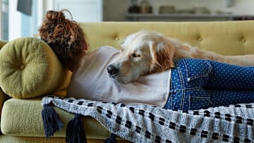 Even canines can get in a good cat nap. 