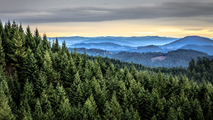 Scenic Oregon is saddled with an unfortunate mountain name.