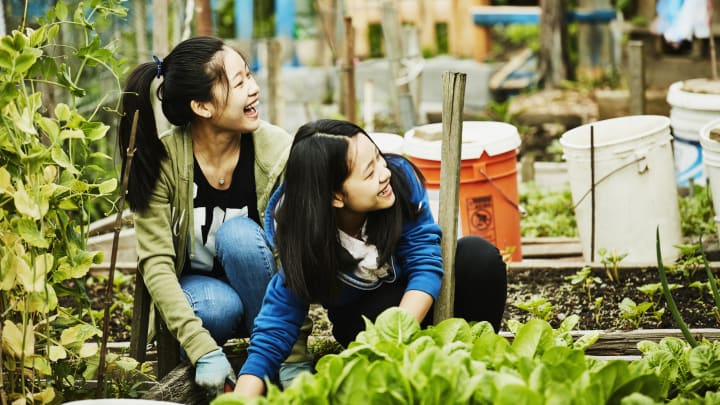 Two girls laugh and plant vegetables at a community garden.