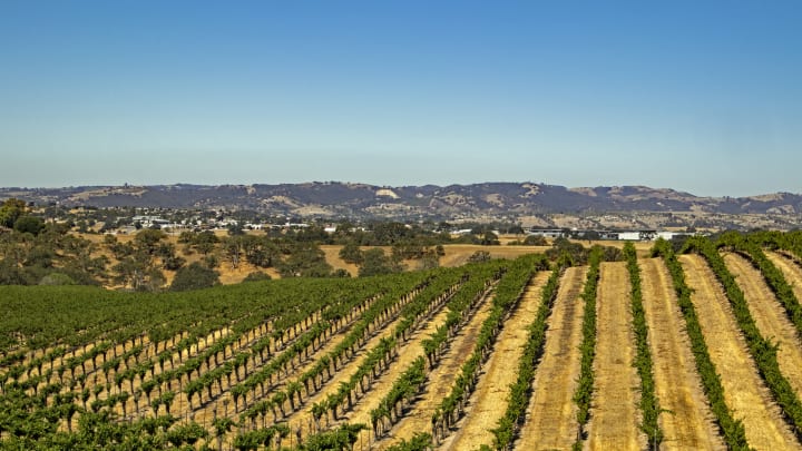 Wine country around Paso Robles, California.