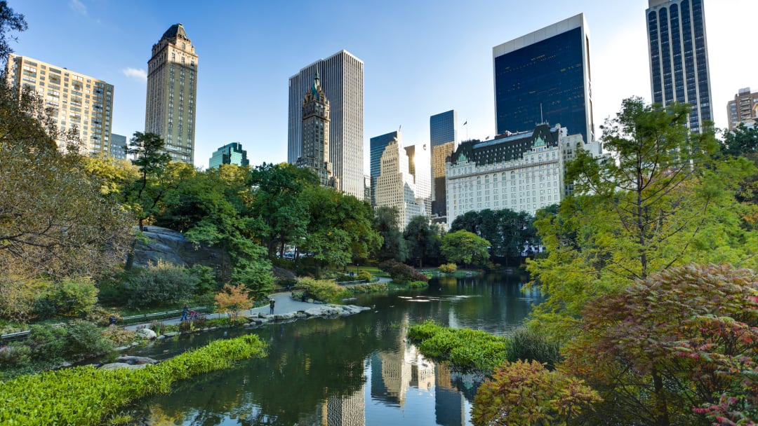 A view of the pool in New York City's Central Park, designed by Frederick Law Olmsted