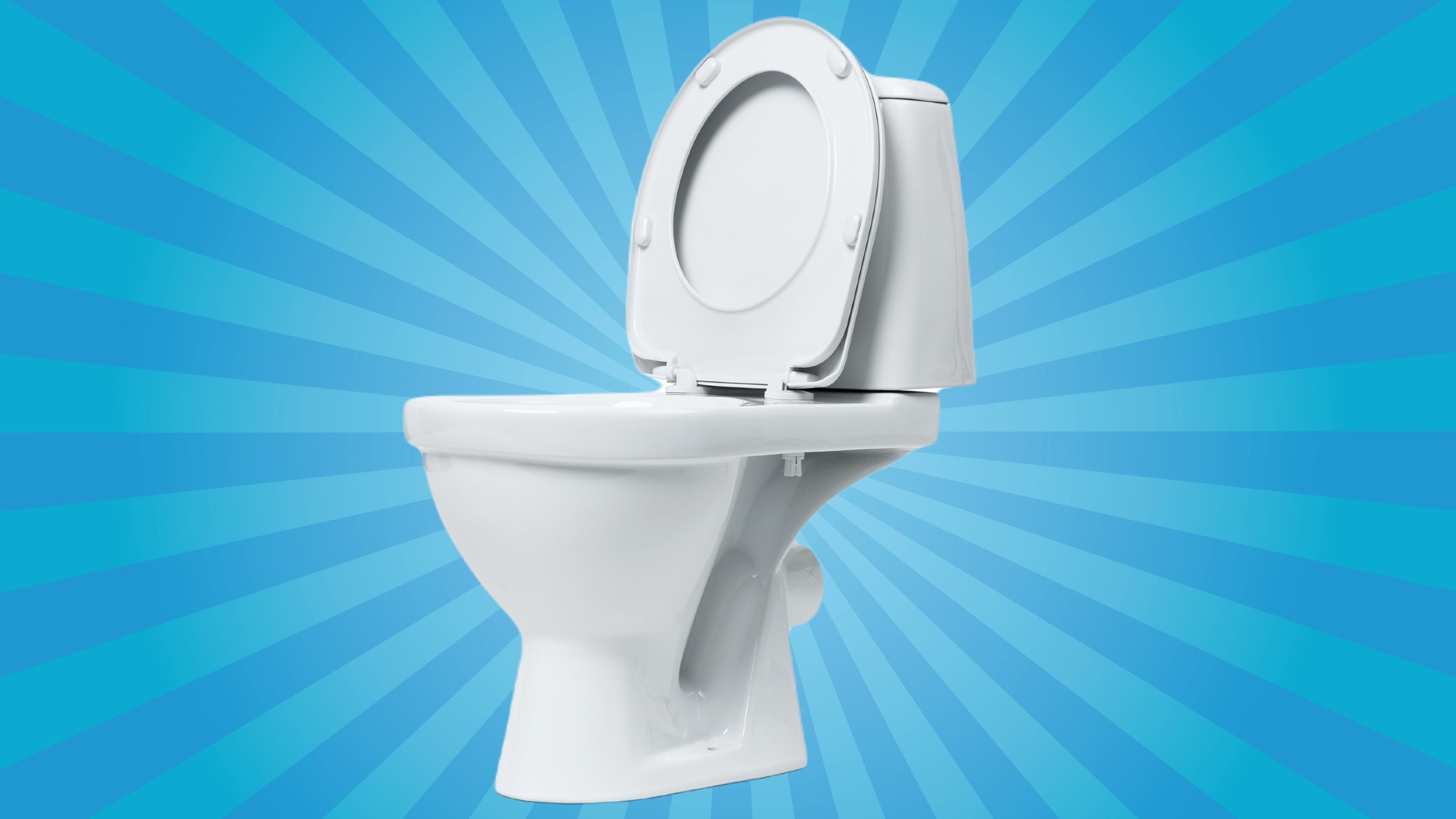 Toilet sale