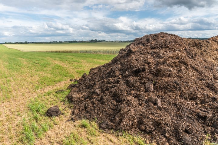 A pile of compost in a field
