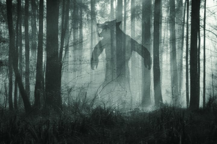 Werewolf figure in a forest