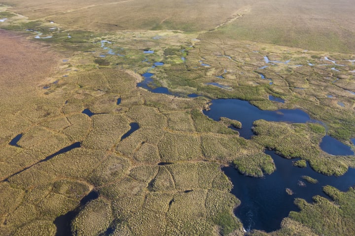 Aerial view of polygons in the Tundra of the Arctic North Slope of Alaska in the National Petroleum Reserve, Alaska.