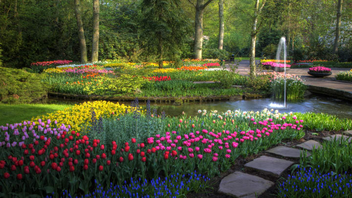 A garden with multicolored tulips around a pond with a fountain