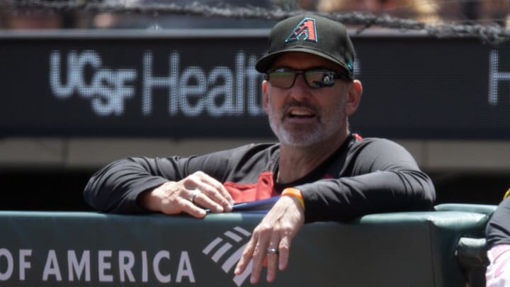 May 14, 2025; San Francisco, California, USA; Arizona Diamondbacks manager Torey Lovullo watches his team take on the San Francisco Giants during the second inning at Oracle Park. Mandatory Credit: D. Ross Cameron-Imagn Images
