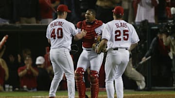 Jose Molina celebrates winning game six