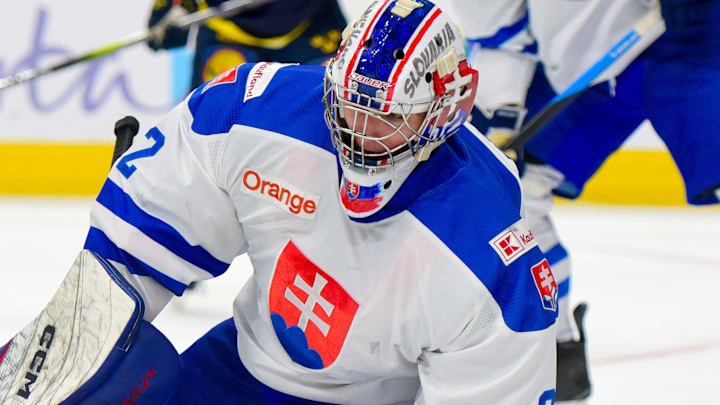 Team Slovakia v Team Sweden