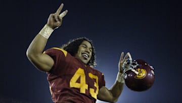 Troy Polamalu celebrates 