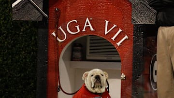 Auburn v Georgia