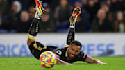 Brighton & Hove Albion v Newcastle United - Premier League