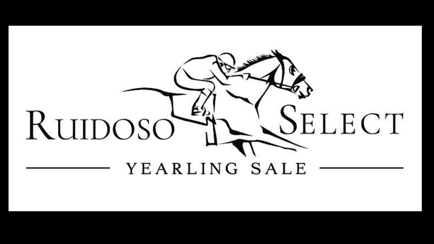 Red Hot at the Ruidoso Select Yearling Sale