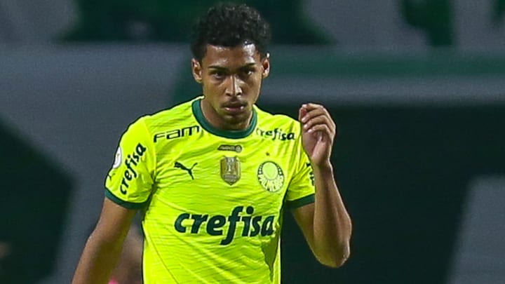 Palmeiras v Bahia - Brasileirao 2024