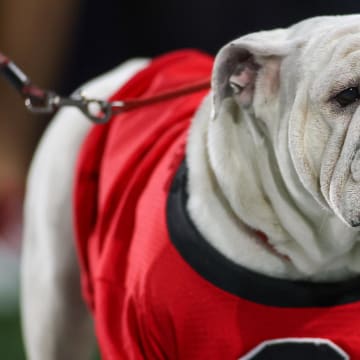 Nov 25, 2023; Atlanta, Georgia, USA; Georgia Bulldogs mascot Uga on the sideline before a game against the Georgia Tech Yellow Jackets at Bobby Dodd Stadium at Hyundai Field. Mandatory Credit: Brett Davis-USA TODAY Sports
