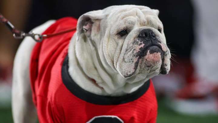 Nov 25, 2023; Atlanta, Georgia, USA; Georgia Bulldogs mascot Uga on the sideline before a game against the Georgia Tech Yellow Jackets at Bobby Dodd Stadium at Hyundai Field. Mandatory Credit: Brett Davis-USA TODAY Sports
