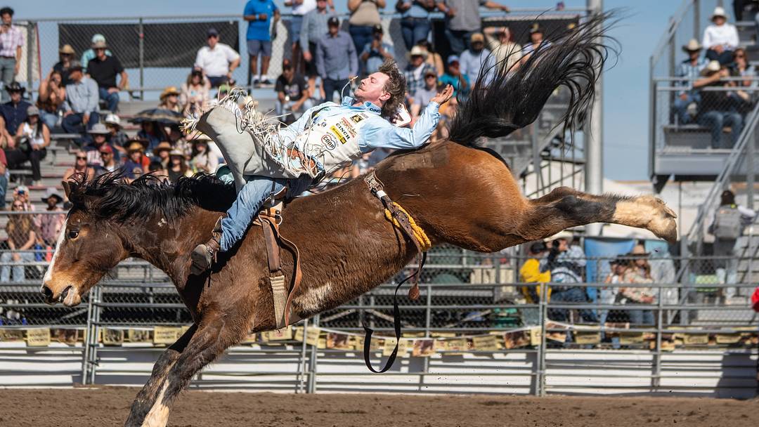 Bareback rider Keenan Hayes Bareback rider Keenan Hayes