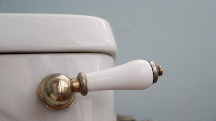 Flush with Pride: A History of the ???Pittsburgh Potty???