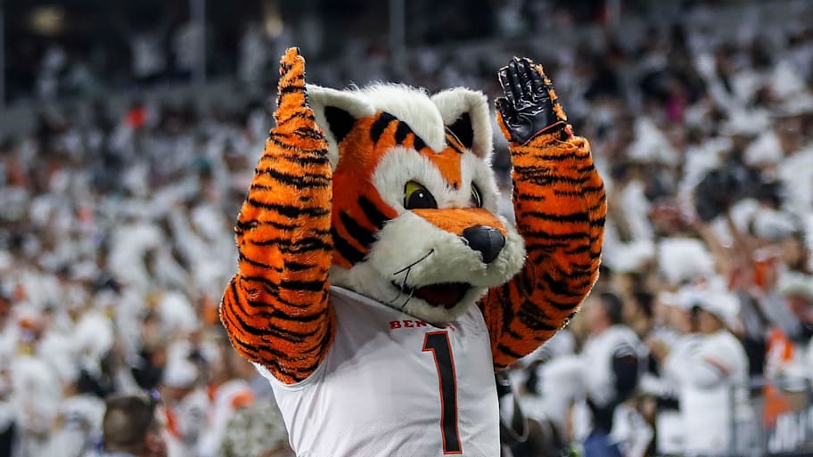 Sep 29, 2022; Cincinnati, Ohio, USA; The Cincinnati Bengals mascot, Who Dey, reacts after a touchdown scored against the Miami Dolphins in the first half at Paycor Stadium. Mandatory Credit: Katie Stratman-Imagn Images | Katie Stratman-Imagn Images