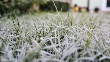 If you see frost, it's a sign to back off.