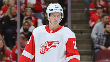 Detroit Red Wings v Chicago Blackhawks