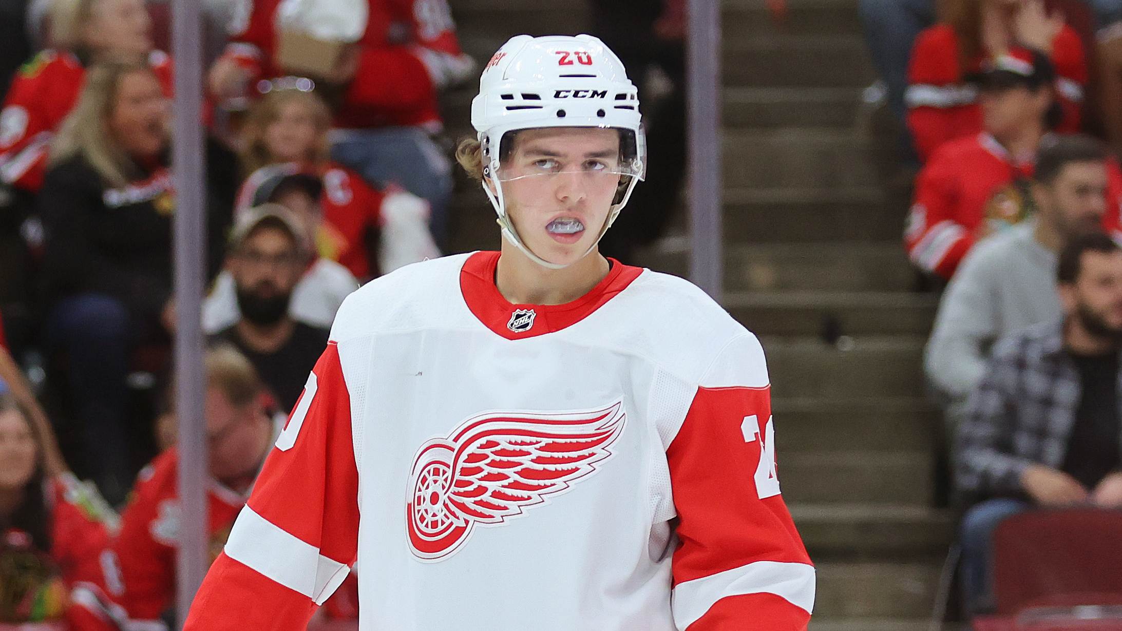 Battle royales to unfold during Detroit Red Wings preseason