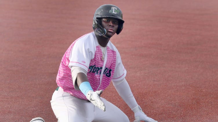 Daytona Tortugas outfielder Hector Rodriguez